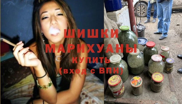 ГАЛЛЮЦИНОГЕННЫЕ ГРИБЫ Вяземский