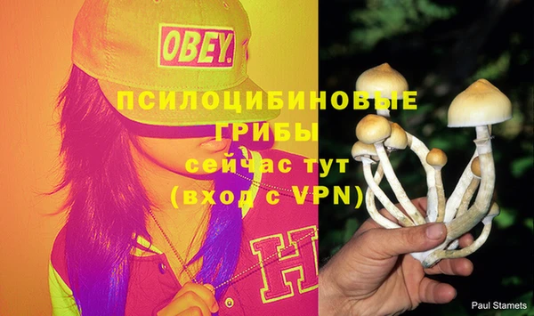 синтетический гашиш Вязьма