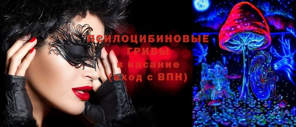 ГАЛЛЮЦИНОГЕННЫЕ ГРИБЫ Вяземский