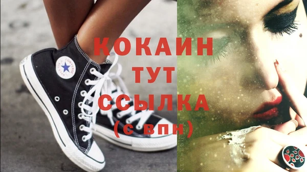 ГАЛЛЮЦИНОГЕННЫЕ ГРИБЫ Вяземский