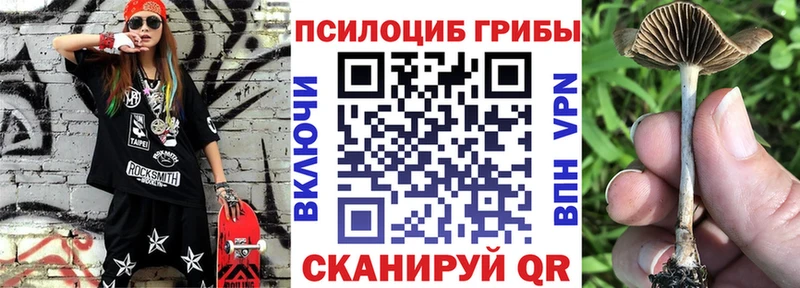 Псилоцибиновые грибы прущие грибы  сайты даркнета как зайти  Сыктывкар  как найти закладки 
