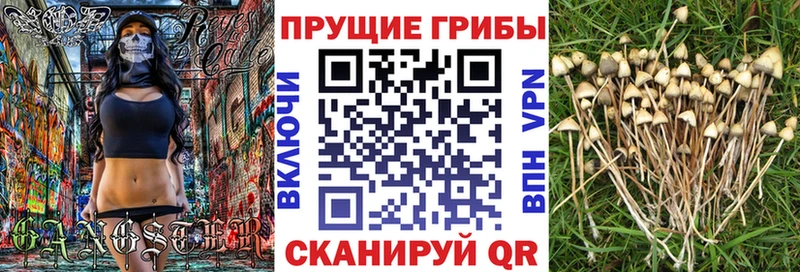 Псилоцибиновые грибы мицелий Сыктывкар